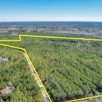 125 Acres - Dewey Road in Brantley GA images 2