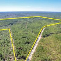 125 Acres - Dewey Road in Brantley GA images 3