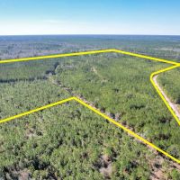 125 Acres - Dewey Road in Brantley GA images 4