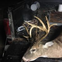 MLD3 managed Deer lease