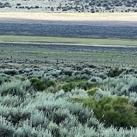41.163 Acres in San Luis CO images 5