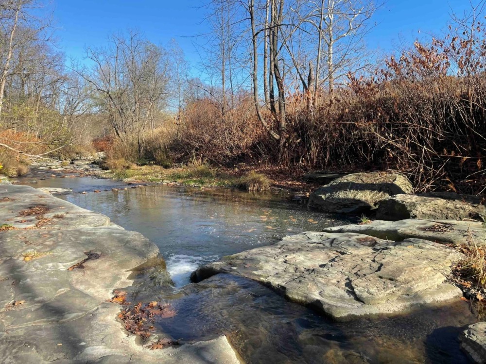 25 acres Waterfront Land on Keshequa Creek and Mature Forest in Portage NY Clancy Road featured image