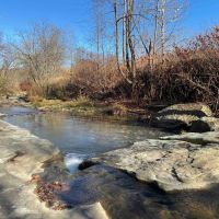 25 acres Waterfront Land on Keshequa Creek and Mature Forest in Portage NY Clancy Road