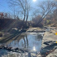 25 acres Waterfront Land on Keshequa Creek and Mature Forest in Portage NY Clancy Road images 2