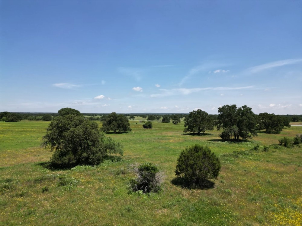 New Listing 133.43 Acres Callahan County featured image