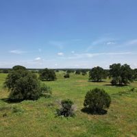 New Listing 133.43 Acres Callahan County images 1