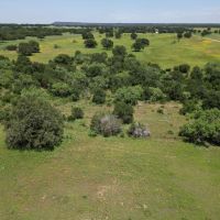 New Listing 133.43 Acres Callahan County images 2