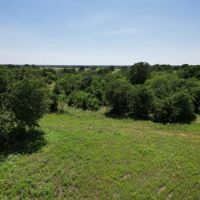 New Listing 133.43 Acres Callahan County images 3