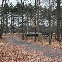 Prime Recreational Property on Dead-End Road for Sale in Clark County Wisconsin images 3
