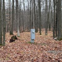 Prime Recreational Property on Dead-End Road for Sale in Clark County Wisconsin images 4