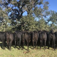 Rafter B Ranch images 4