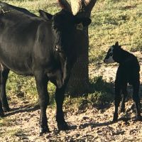Rafter B Ranch images 5
