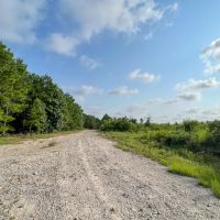 570 Acres FM 2989 T-271006-1 images 2
