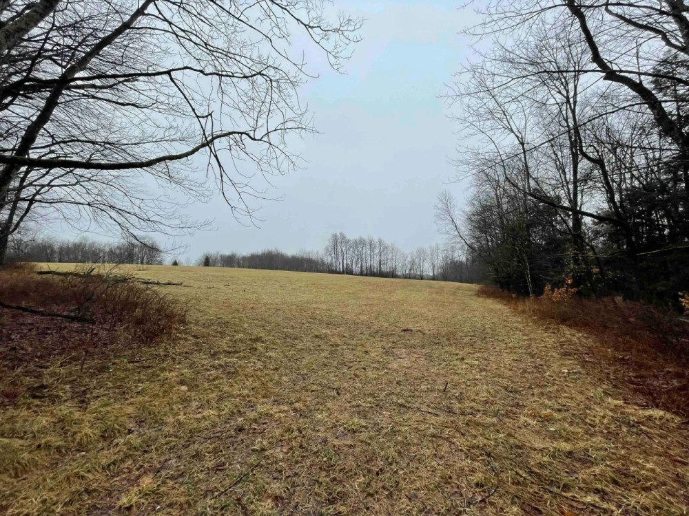 51 acres Open Fields and Woodlands in Liberty NY White Sulphur Road featured image