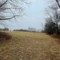 51 acres Open Fields and Woodlands in Liberty NY White Sulphur Road