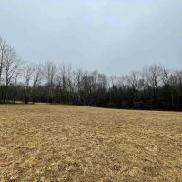 51 acres Open Fields and Woodlands in Liberty NY White Sulphur Road images 2