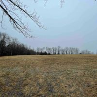 51 acres Open Fields and Woodlands in Liberty NY White Sulphur Road images 4