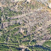 46 Acres Off County Road 3 images 2