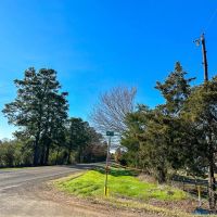46 Acres Off County Road 3 images 3