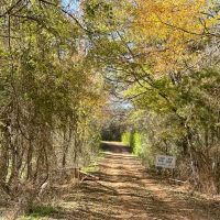 46 Acres Off County Road 3 images 4