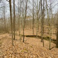 40 acres of Multi-Use Recreational Investment Land for Sale in Caswell County NC images 4
