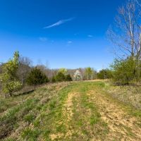 40 acres of Multi-Use Recreational Investment Land for Sale in Caswell County NC images 5