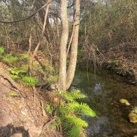 County Road 221 Schulenburg TX 78956