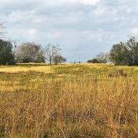 County Road 221 Schulenburg TX 78956 images 2