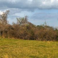 County Road 221 Schulenburg TX 78956 images 3