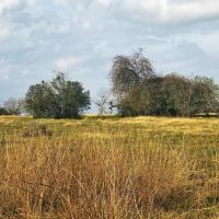 County Road 221 Schulenburg TX 78956 images 5