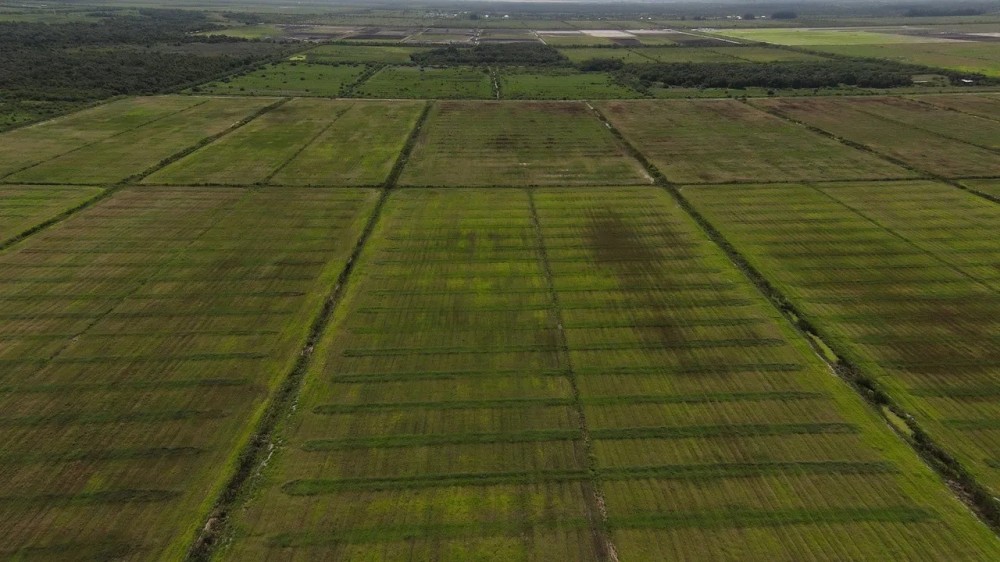 388.4 Acres in Western St. Lucie County Florida featured image