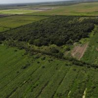 388.4 Acres in Western St. Lucie County Florida images 5