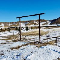 Big Horn Equestrian images 5