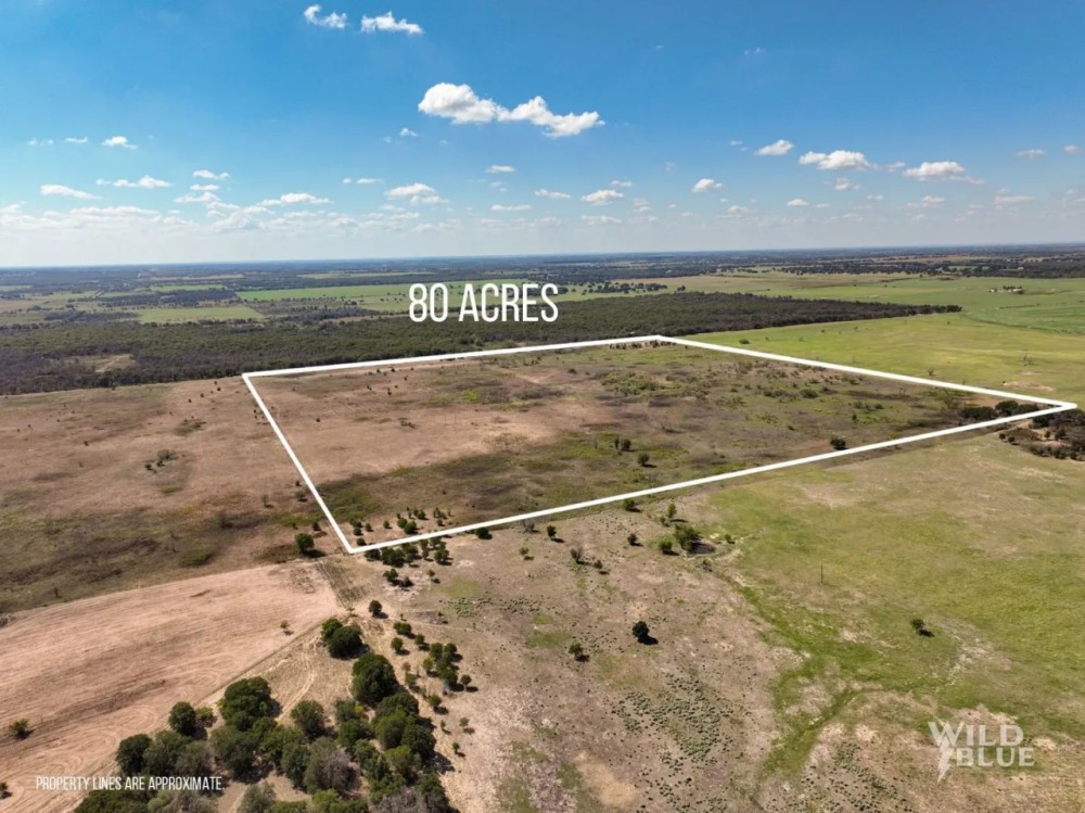 80 Ac PR Rising Star featured image