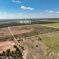80 Ac PR Rising Star