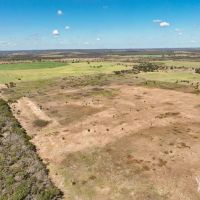 80 Ac PR Rising Star images 3