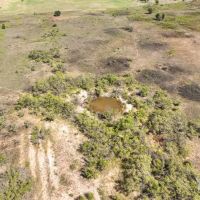 80 Ac PR Rising Star images 4