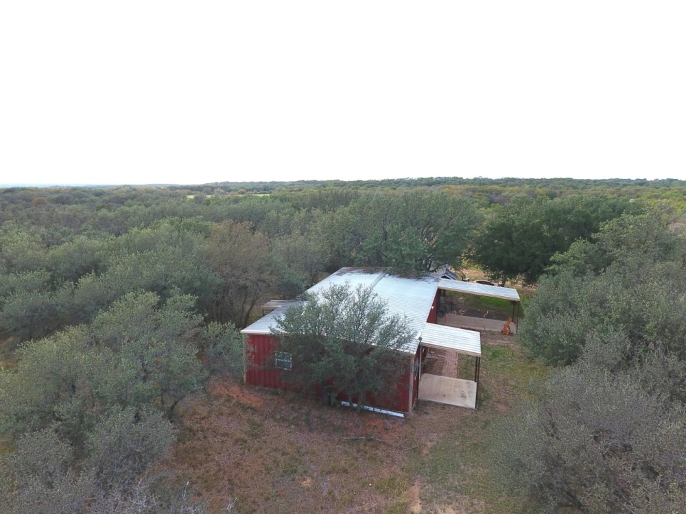 Comanche County High-Fence with Exotics featured image