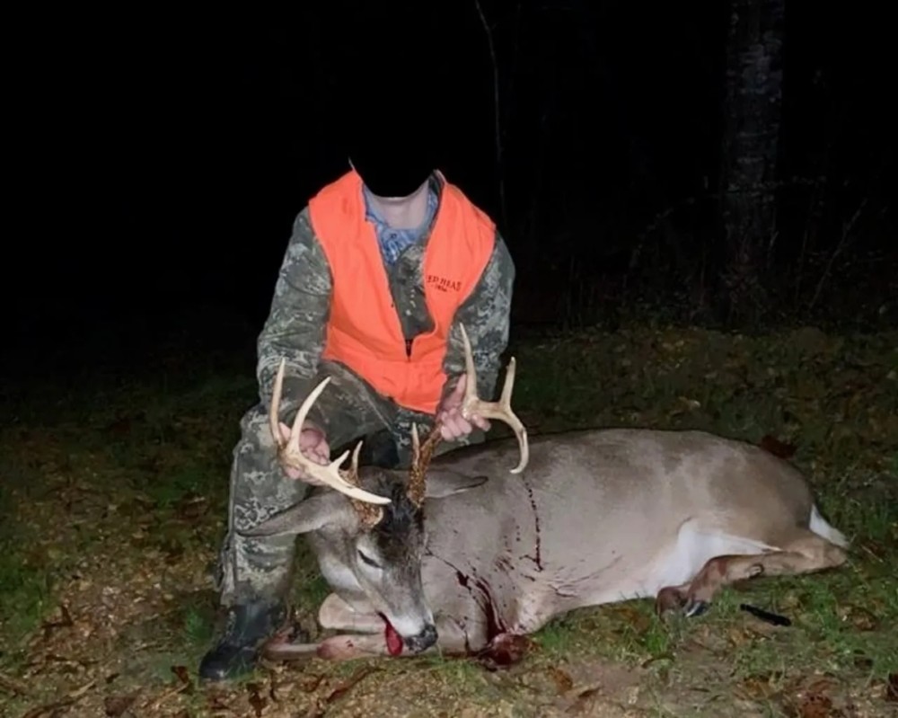 Hunting Land for Sale in Natchez MS featured image
