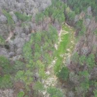 Hunting Land for Sale in Natchez MS images 3