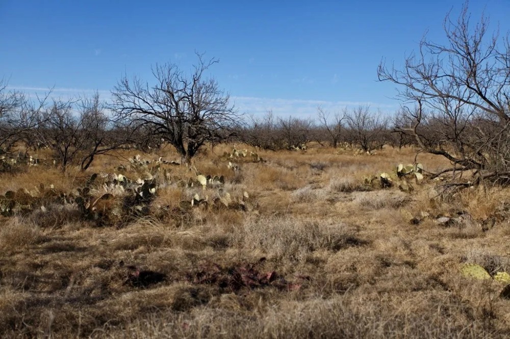 TBD Hwy 87 featured image