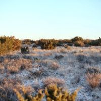 TBD Hwy 87 images 3