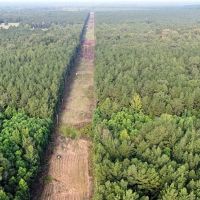 38 Acres Hunting Timberland for Sale Huttig AR images 2