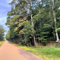 38 Acres Hunting Timberland for Sale Huttig AR images 3
