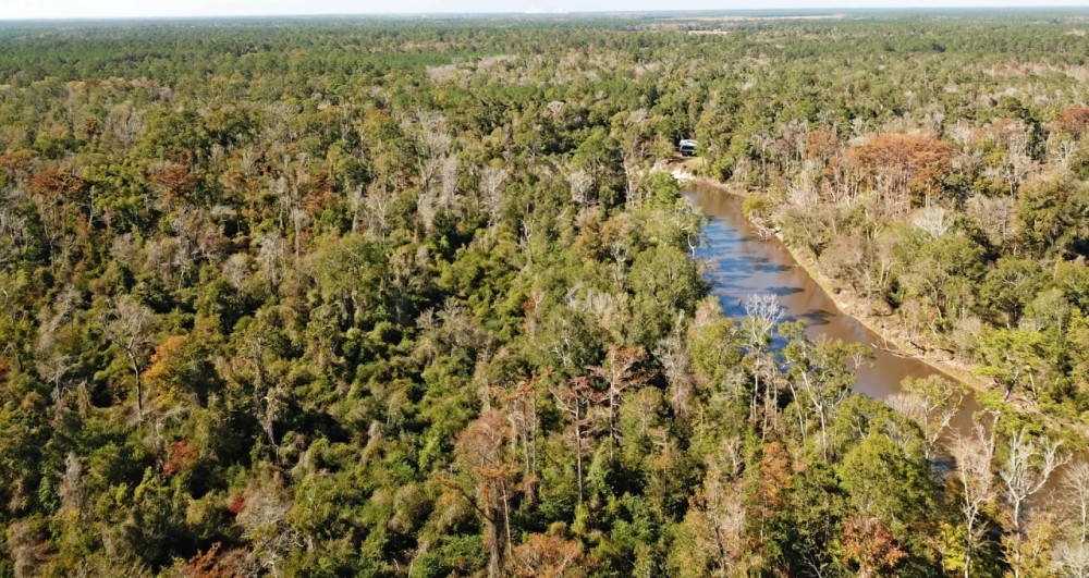 1553 ACRES ALLEN CALCASIEU PARISH LOUISIANA featured image