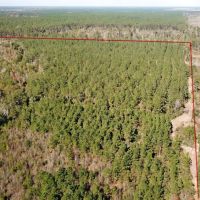 1553 ACRES ALLEN CALCASIEU PARISH LOUISIANA images 5