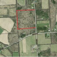 24 acre Wooded Property in Hector NY N. Shuler Road in the Finger Lakes Region images 4