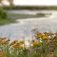 East Gallatin River Reserve images 2
