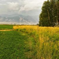 East Gallatin River Reserve images 3