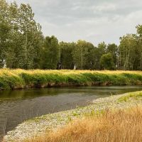 East Gallatin River Reserve images 4